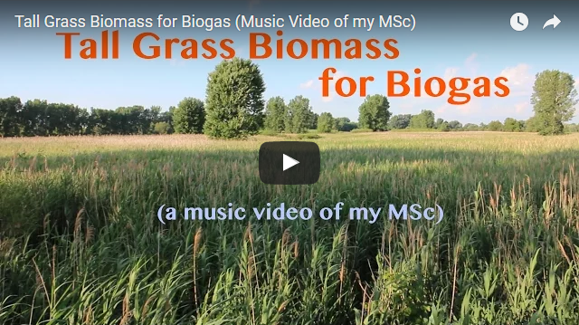 YouTube Video - Tall Grass Biomass for Biogas - a music video of my MSc