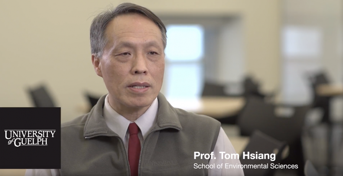 YouTube Video - Meet Tom Hsiang