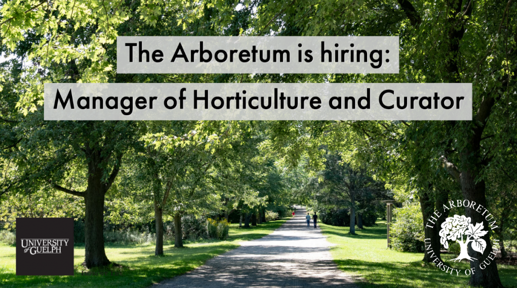  Picture of the Guelph Arboretum (a road through a vegetated area) in the background and the text "The Arboretum is hiring: Manager of Horticulture und Curator" overlaid