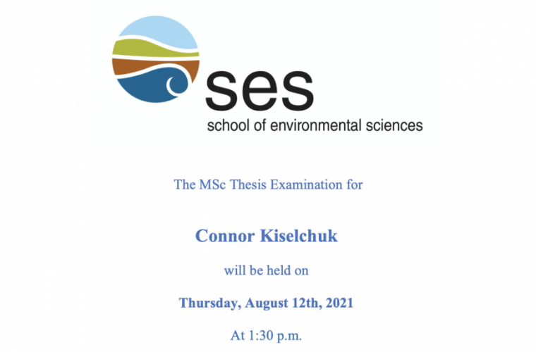 Screenshot of the Thesis Announcement
